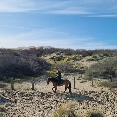 Feriepark Ferme De Wolphus - 15 Min De La *