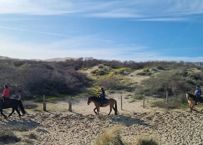 Village de vacances Piscine - Ferme De Wolphus - 15 Min De La *