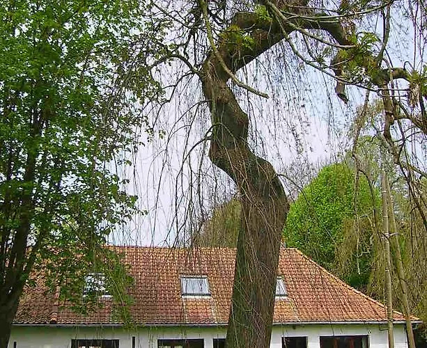 Piscine - Ferme De Wolphus - 15 Min De La *